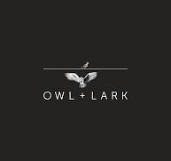 Owl + Lark  Logo
