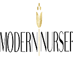 Modern Nursery Logo