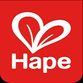 Hape Toys